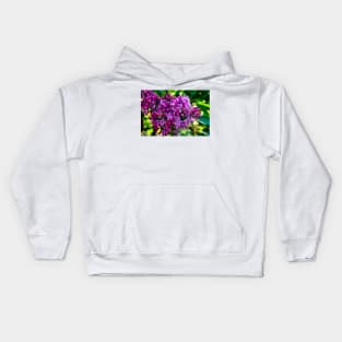 Lilacs Kids Hoodie